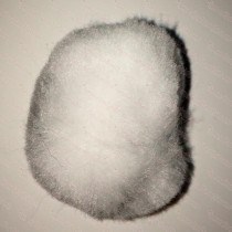 4" Large White Pom Pom
